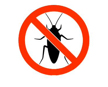 Désinsectisation professionnelle Arcachon