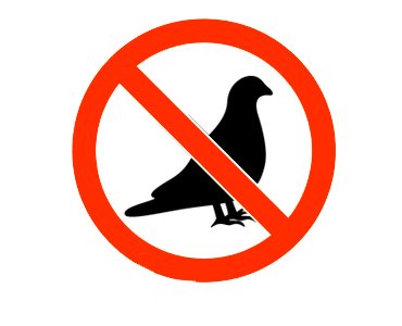 Dépigeonnisation professionnelle Arcachon